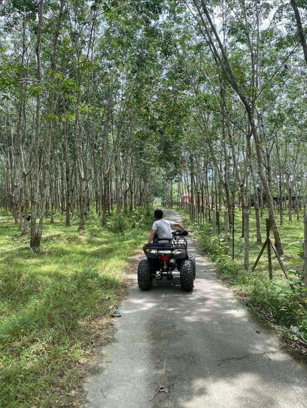 Langkawi:ATV Ride at Matchinchang Mountain Foothill - Rubber trees, village roads, and working farms