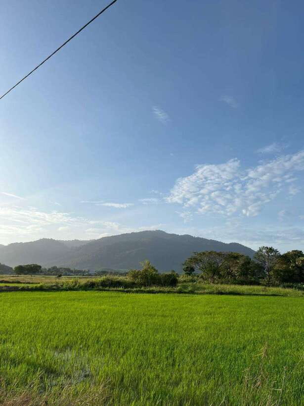 Langkawi: Countryside Bike Tour, Waterfall Swim & Dessert - Starting at JungleWalla’s office