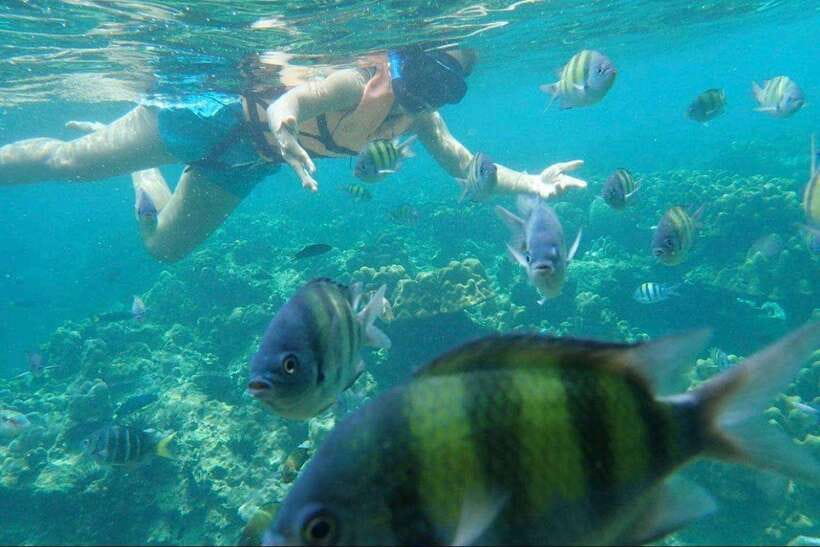 Langkawi: Dangli Island Snorkel and Swim Speedboat Tour - The Best Way to Prepare