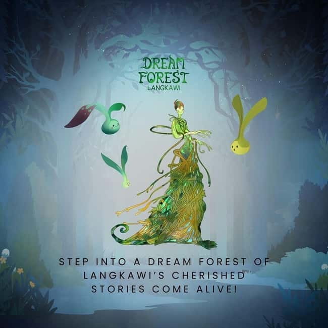 Langkawi: Dream Forest Langkawi Standard Admission Ticket - A rainforest walk with a nighttime stage