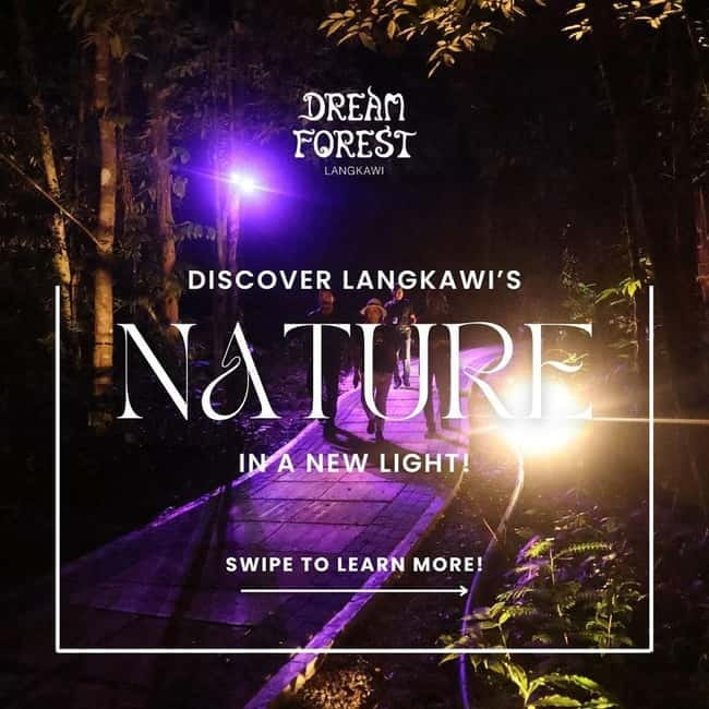 Langkawi: Dream Forest Langkawi Standard Admission Ticket - What happens along the forest path