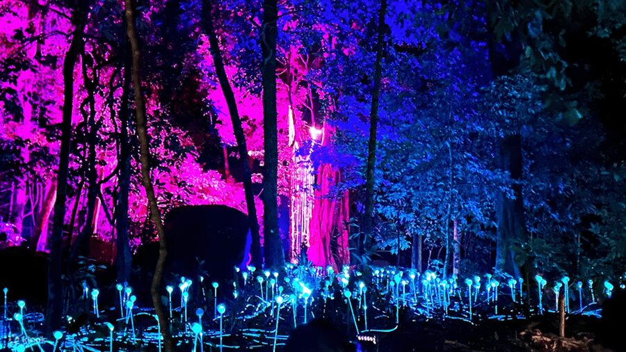 Langkawi: Dream Forest Langkawi Standard Admission Ticket - Should you book Dream Forest Langkawi?