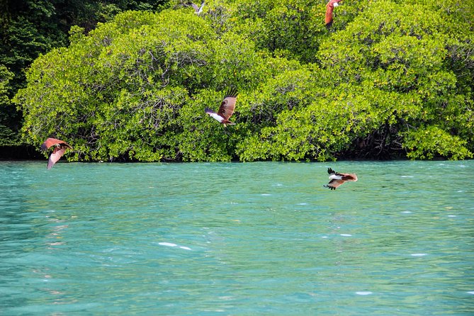 Langkawi Half Day Island Hoping Tour- Sharing basis - The guide and what kind of service to expect