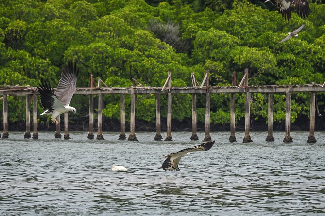 Langkawi Half Day Island Hoping Tour- Sharing basis - Who should book this Langkawi island tour?