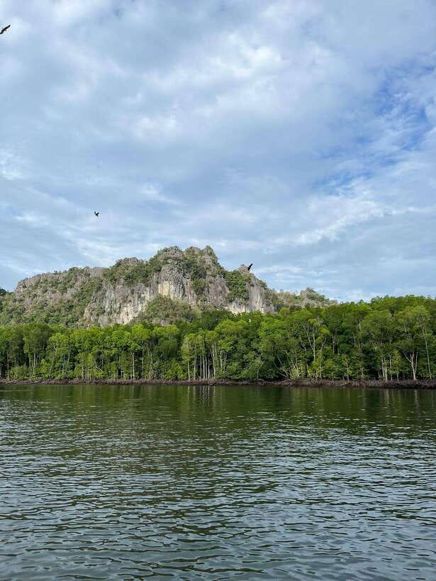 Langkawi: Half-Day Private Kilim River Mangrove Boat Tour - Four Hours Through Kilim’s Mangrove Country