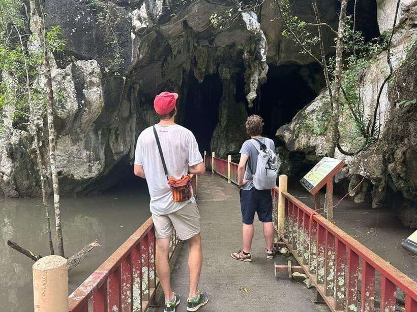 Langkawi: Half-Day Private Kilim River Mangrove Boat Tour - Bat Cave and the First Mangrove Views