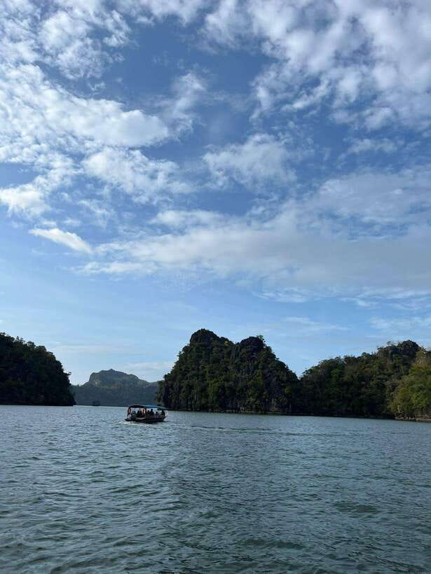 Langkawi: Half-Day Private Kilim River Mangrove Boat Tour - Crocodile Cave and the Shorter Scenic Stops