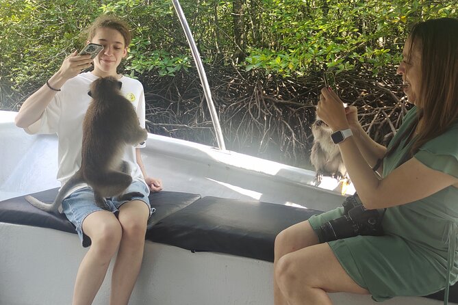 Langkawi Highlights Day Tour - ATV, Mangrove Cruise & Cable Car - Lunch at your own chosen restaurant