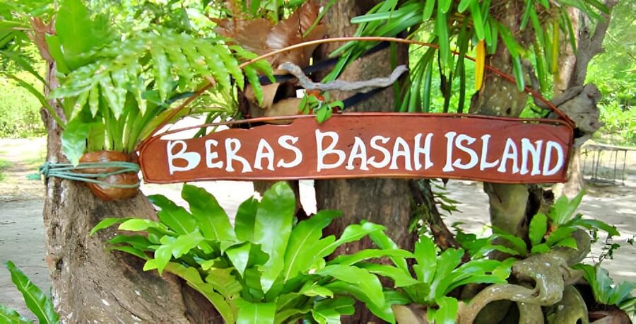 Langkawi: Island Hopping Shared or Private Boat Options - Pulau Singa Besar and the eagle display