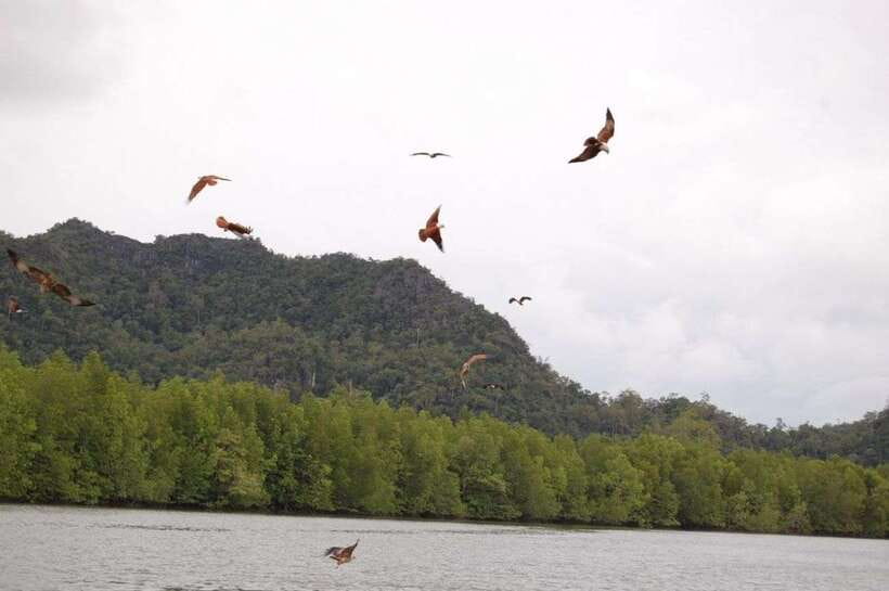 Langkawi: Island Hopping Tour - What to pack for a more comfortable day