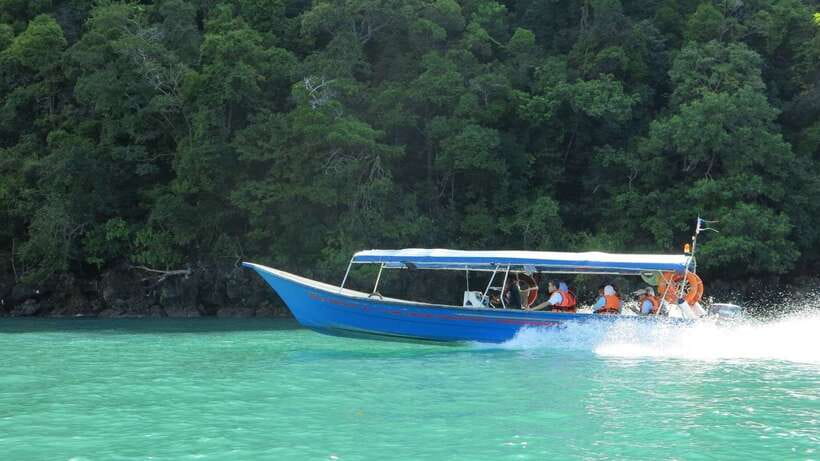 Langkawi: Island Hopping Tour - Sea eagles near Singa Besar provide the big show