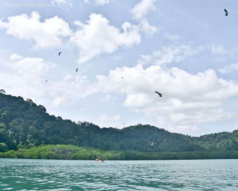 Langkawi: Island Hopping Tour - Beras Basah offers the classic beach break
