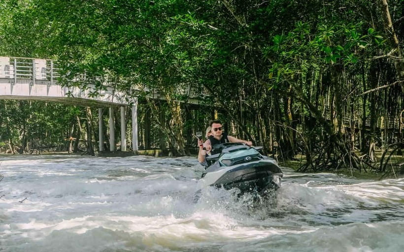Langkawi: Jet Ski Tour UNESCO Kilim Geopark Free Video - Eagle watching over the mangrove canopy