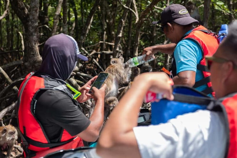 Langkawi: Jet Ski Tour UNESCO Kilim Geopark Free Video - Selat Panchor Cave and the waterfall inside