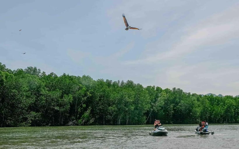 Langkawi: Jet Ski Tour UNESCO Kilim Geopark Free Video - Monkey watching, with one point to think about