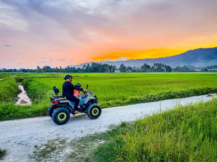 Langkawi Jungle and Waterfall Adventure (Golden Hour) - Jungle trails, wildlife, and the waterfall pause