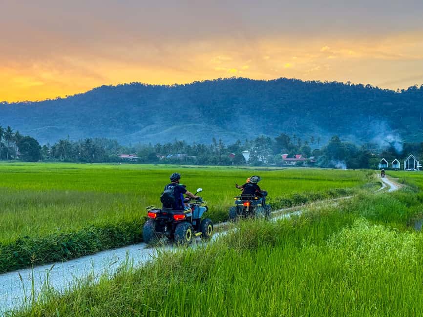 Langkawi Jungle and Waterfall Adventure (Golden Hour) - Paddy fields, farms, and the reservoir splash