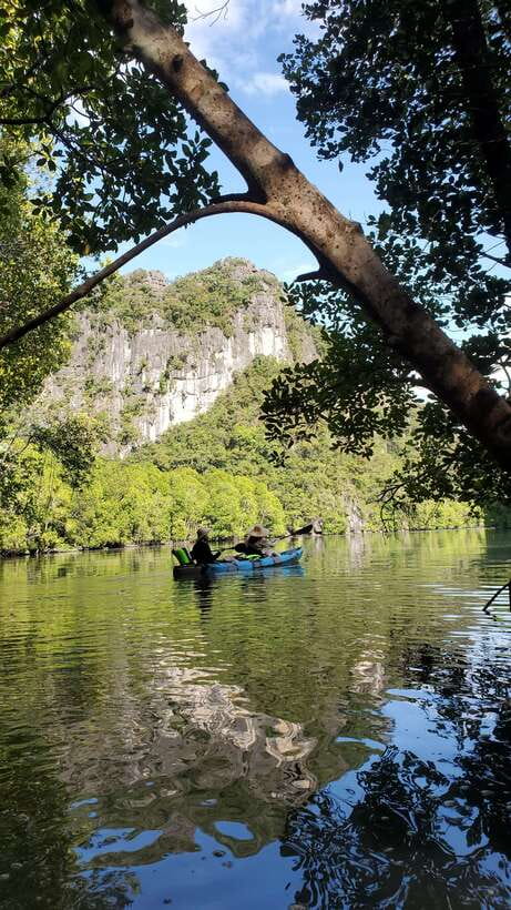 Langkawi : Kilim Geoforest Mangrove Kayak Tour with Lunch - Why this Langkawi kayak tour is worth your time