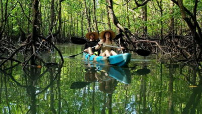Kilim Geoforest Mangrove Kayak Tour with Lunch