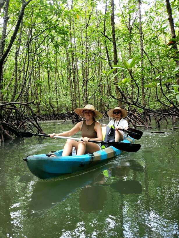 Langkawi : Kilim Geoforest Mangrove Kayak Tour with Lunch - Eagle watching without the circus