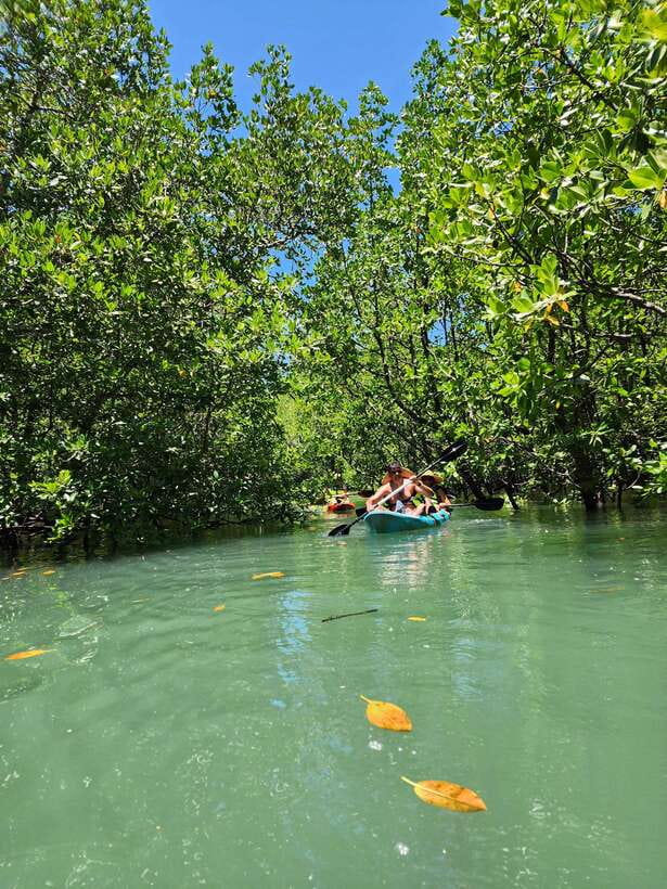 Langkawi : Kilim Geoforest Mangrove Kayak Tour with Lunch - Lunch at the floating restaurant