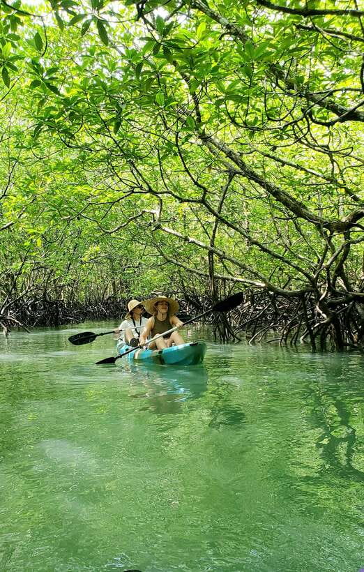 Langkawi : Kilim Geoforest Mangrove Kayak Tour with Lunch - What the $59 price really includes