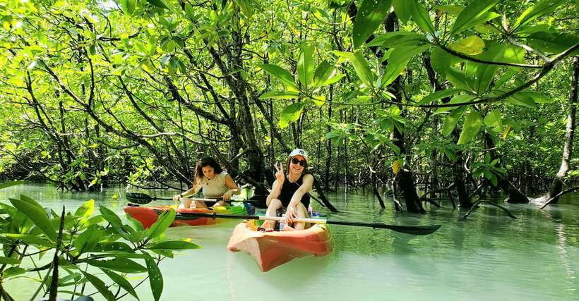 Langkawi : Kilim Geoforest Mangrove Kayak Tour with Lunch - How to prepare for four hours on the water
