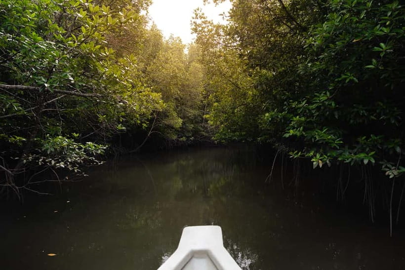 Langkawi: Kilim Geopark Mangrove Tour with Eagle Watching - The floating restaurant stop