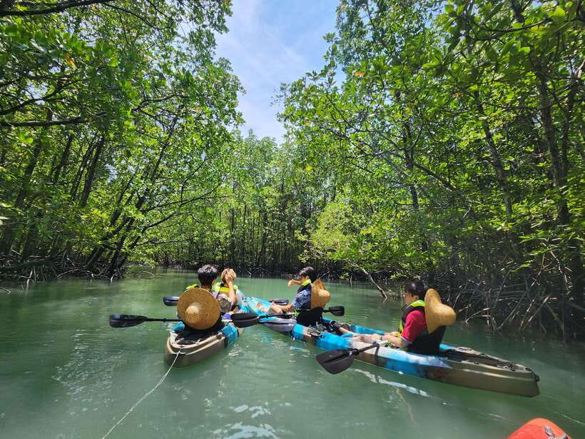 Langkawi : Kilim Mangrove Boat & Fun Kayak Tour with Lunch - Starting at Kilim Geoforest Park