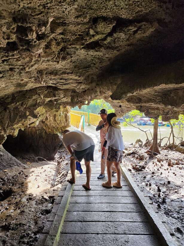 Langkawi : Kilim Mangrove Boat & Fun Kayak Tour with Lunch - Cruising the Kilim mangrove waterways
