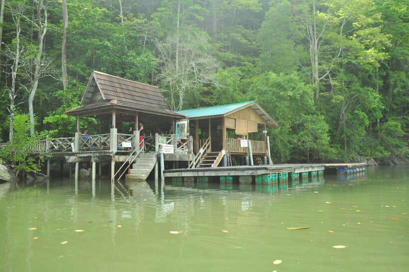 Langkawi: Kilim Mangrove Boat Tour with Lunch and Pickup - What the $47 price really covers