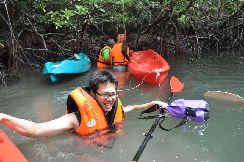 Langkawi: Kilim River Mangrove Safari Kayaking Tour - Inside Bat Cave