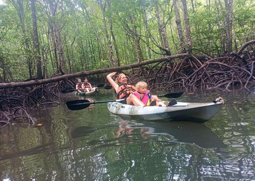 Langkawi: Kilim River Mangrove Safari Kayaking Tour - Lunch at a fish farm and floating restaurant