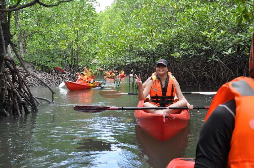 Langkawi: Kilim River Mangrove Safari Kayaking Tour - Who should book this tour?