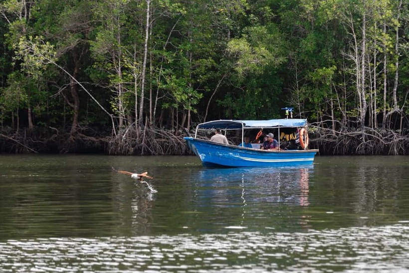 Langkawi Mangrove Group Boat Tour - Gorilla Mountain and the limestone cliffs