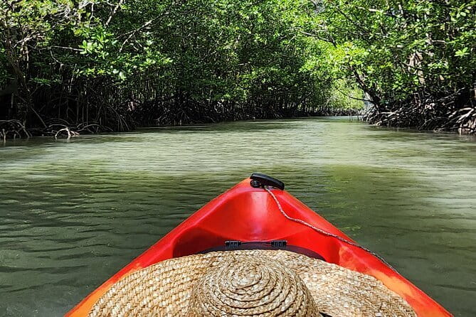 Langkawi Mangrove Kayak Tour by Sham - A closer look at Kilim’s mangrove forest