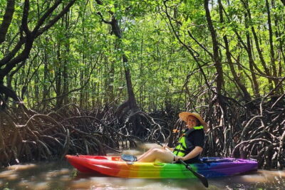 Langkawi Mangrove Kayak Tour by Sham