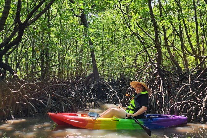 Langkawi Mangrove Kayak Tour by Sham - The 1.5 to 2-hour guided kayak section