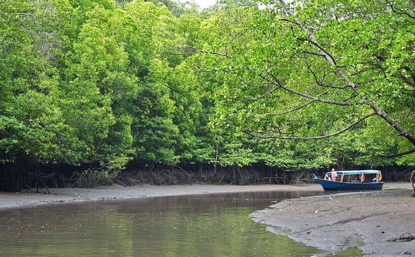 Langkawi: Mangrove Kilim UNESCO Geopark & Cave Tour - Key points to know before booking