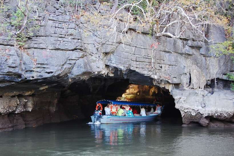 Langkawi: Mangrove Kilim UNESCO Geopark & Cave Tour - A boat trip through Langkawi’s living mangrove