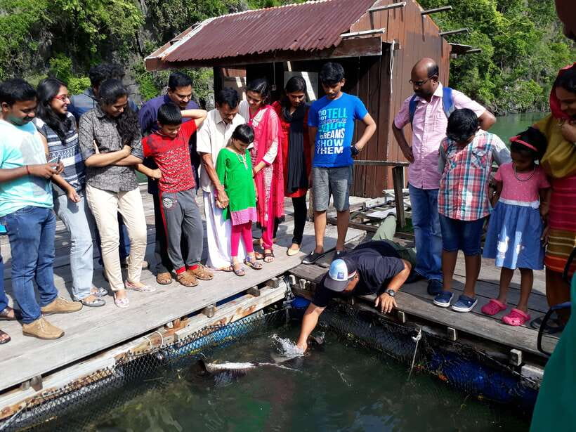Langkawi: Mangrove Kilim UNESCO Geopark & Cave Tour - The floating fish farm and cove stop
