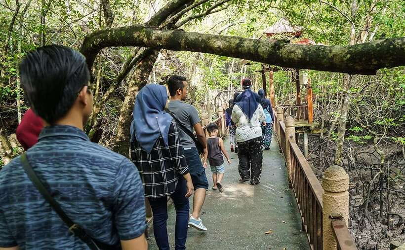 Langkawi: Mangrove Kilim UNESCO Geopark & Cave Tour - Guides, boats, and group comfort