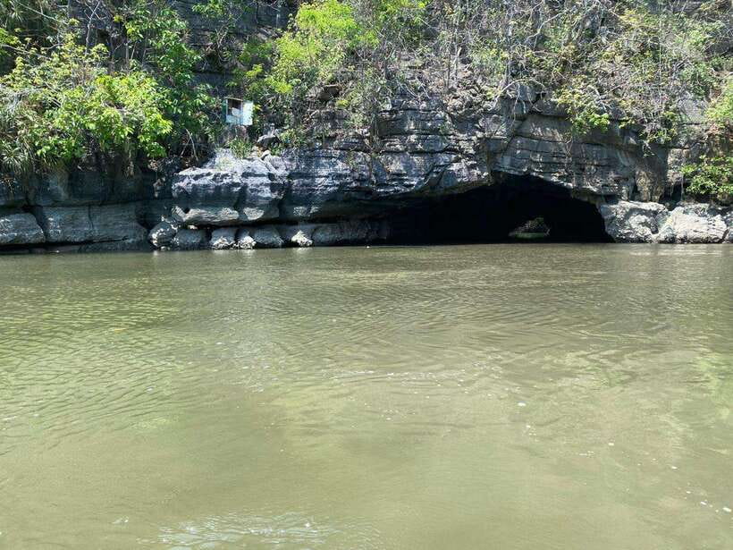 Langkawi Mangrove Monkey Package - Key points to know before you book