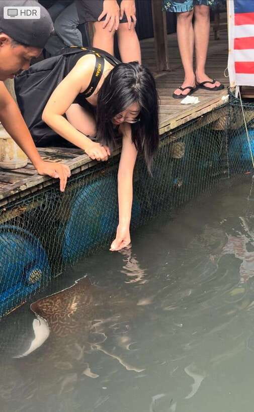 Langkawi Mangrove Monkey Package - Crocodile Cave and Bat Cave
