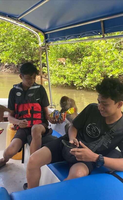 Langkawi Mangrove Monkey Package - How the $37 price works for you