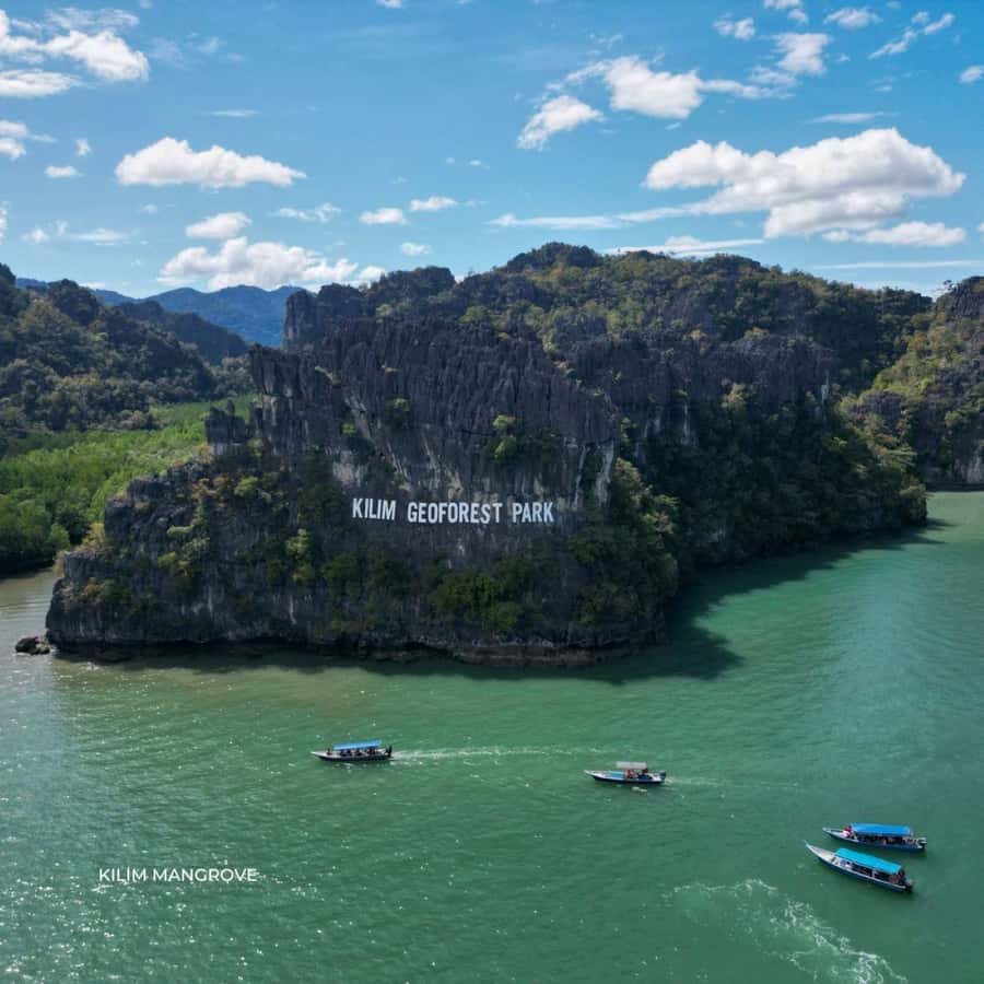 Langkawi Mangrove : Sharing Boat 3Hour estimated (lunch) - Eagles, monkeys, and the chance to see wildlife