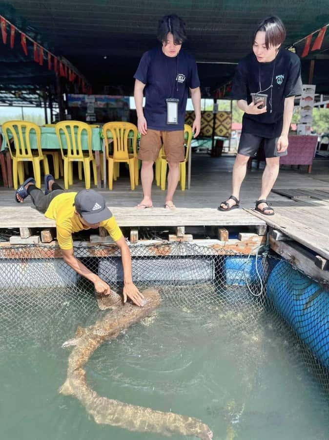Langkawi Mangrove : Sharing Boat 3Hour estimated (lunch) - What the shared format means for your day
