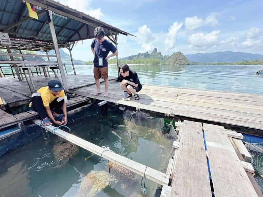 Langkawi Mangrove : Sharing Boat 3Hour estimated (lunch) - Who should book this Langkawi mangrove tour?