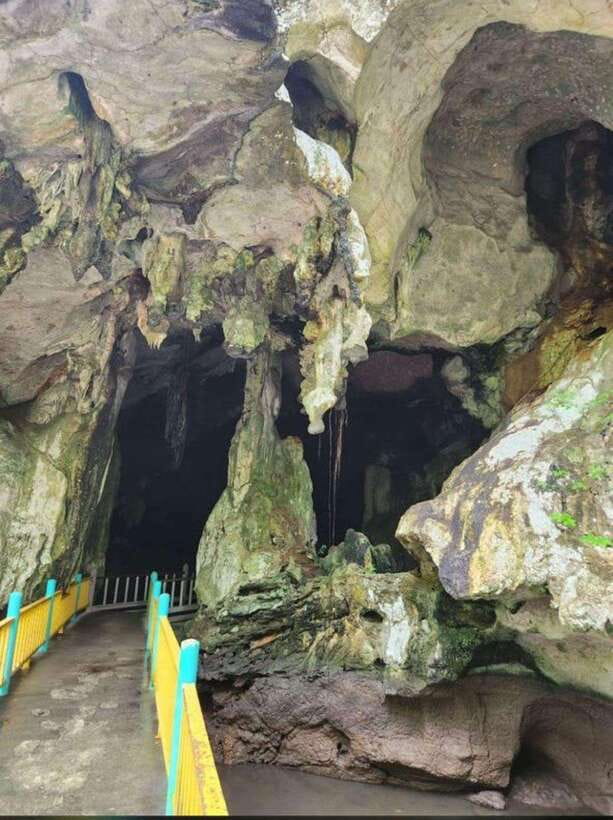 Langkawi:Mangrove Tour Private VIP Boat - Bat Cave and Crocodile Cave