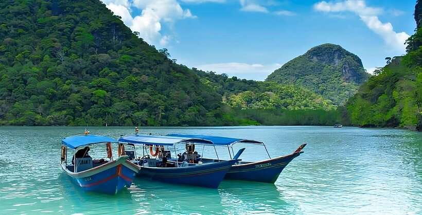 Langkawi: Mangrove Tour with Kilim Geoforest Park & Bat Cave - Gua Kelawar and the world of Langkawi’s bats